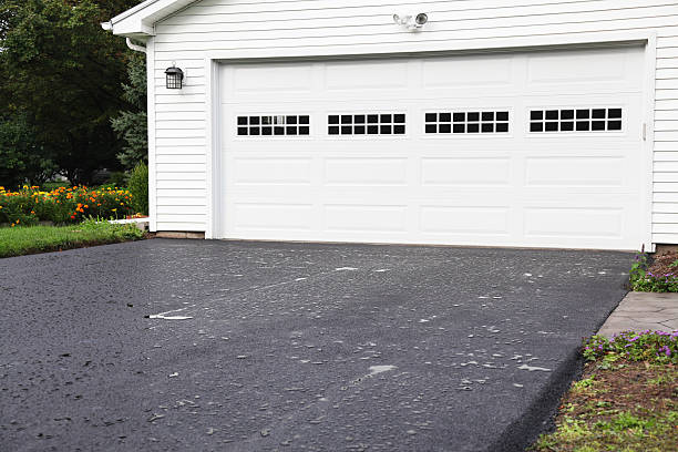 Best Basement Cleanout  in Waycross, GA