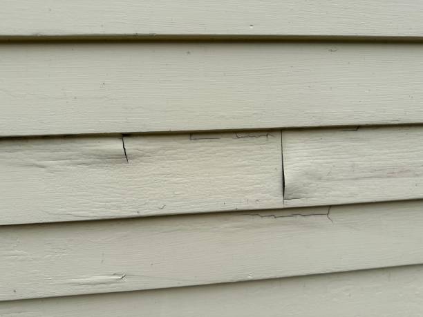 Best Hoarding Cleanup  in Waycross, GA